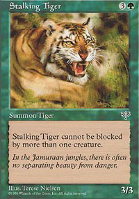 Stalking Tiger