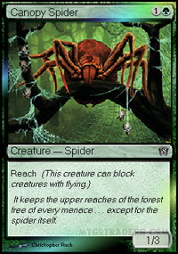 Canopy Spider *Foil*