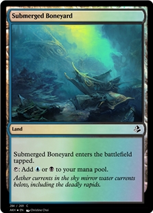 Submerged Boneyard *Foil*