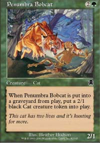 Penumbra Bobcat
