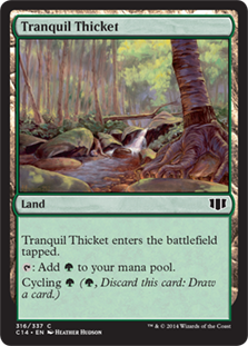 Tranquil_Thicket.jpg