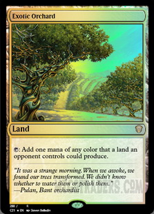 Exotic Orchard *Foil*