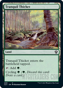 Tranquil_Thicket
