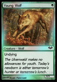 Young Wolf *Foil*