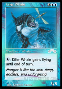 Killer Whale *Foil*