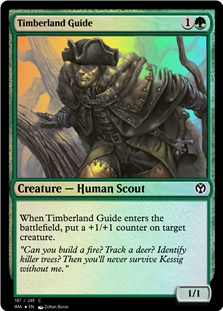 Timberland Guide *Foil*