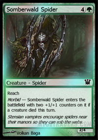 Somberwald Spider *Foil*