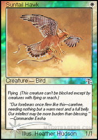 Suntail Hawk *Foil*