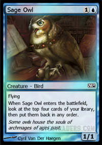 Sage Owl *Foil*