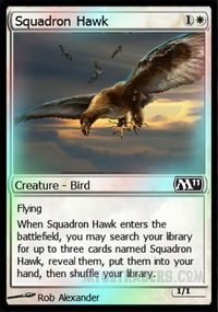 Squadron Hawk *Foil*