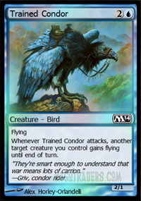 Trained Condor *Foil*