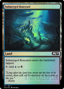 Submerged Boneyard *Foil*