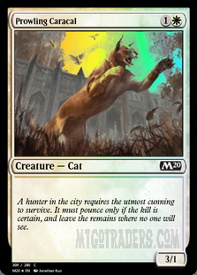 Prowling Caracal *Foil*