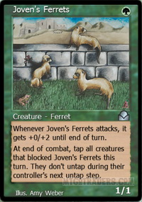 Joven's Ferrets