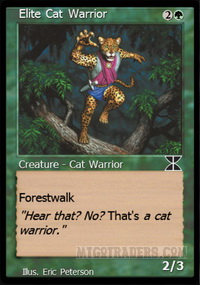 Elite Cat Warrior