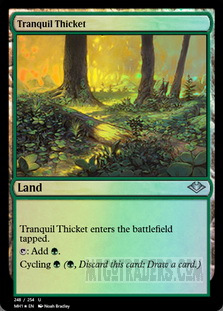 Tranquil Thicket *Foil*