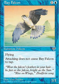 Bay Falcon