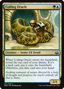 Coiling_Oracle