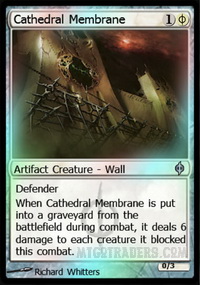 Cathedral Membrane *Foil*