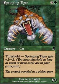 Springing Tiger