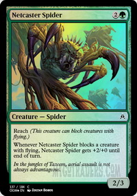 Netcaster Spider *Foil*
