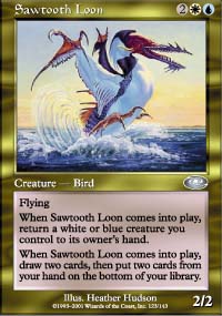 Sawtooth Loon