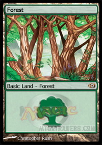 APAC Forest 2