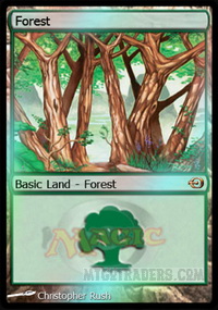 APAC Forest 2 *Foil*