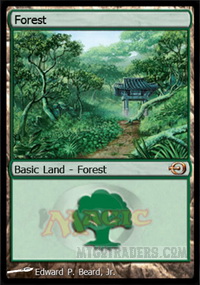 APAC Forest 3