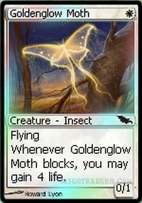 Goldenglow Moth *Foil*