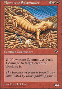 Flowstone Salamander