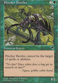 Pincher Beetles