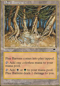 Pine Barrens