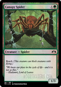 Canopy Spider *Foil*