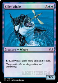 Killer Whale *Foil*