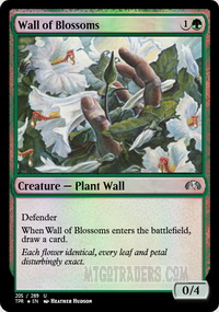 Wall of Blossoms *Foil*