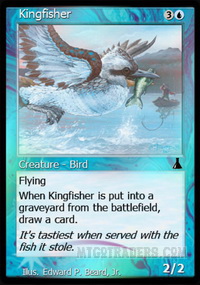 Kingfisher *Foil*
