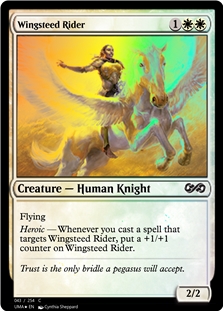 Wingsteed Rider *Foil*