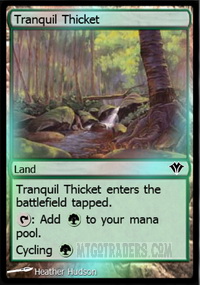 Tranquil_Thicket_f.jpg