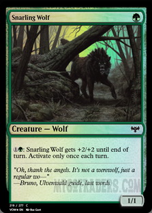 Snarling Wolf *Foil*