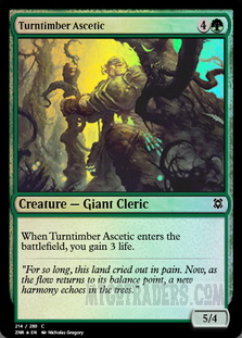 Turntimber Ascetic *Foil*